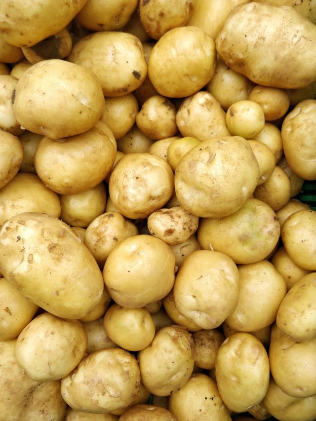 La nouvelle gamme de pommes de terre Mamzells