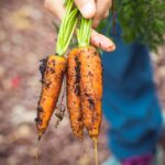 Le Jardinage Urbain