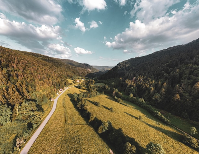 Route des Crêtes dans les Vosges