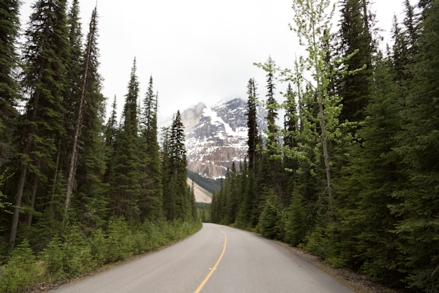 Routes dans les forêts boréales