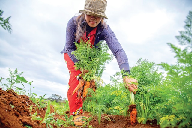 jardinage pour les femmes