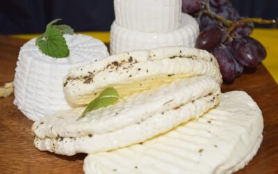 meilleurs fromages