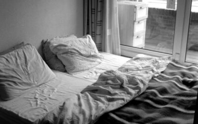 punaise de lit