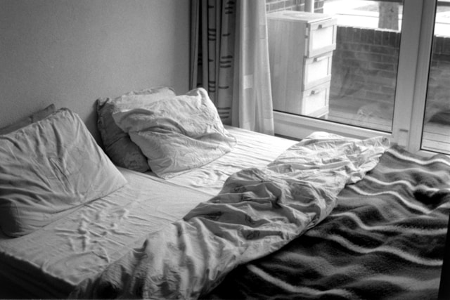 punaise de lit