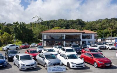 concessionnaire automobile