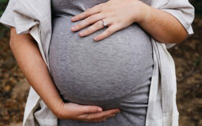 trimestre de grossesse