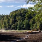 terrain-forestier