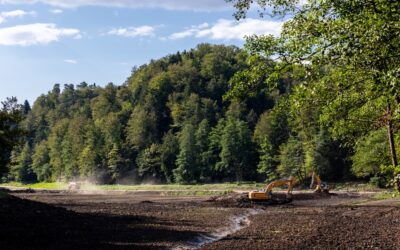 terrain-forestier