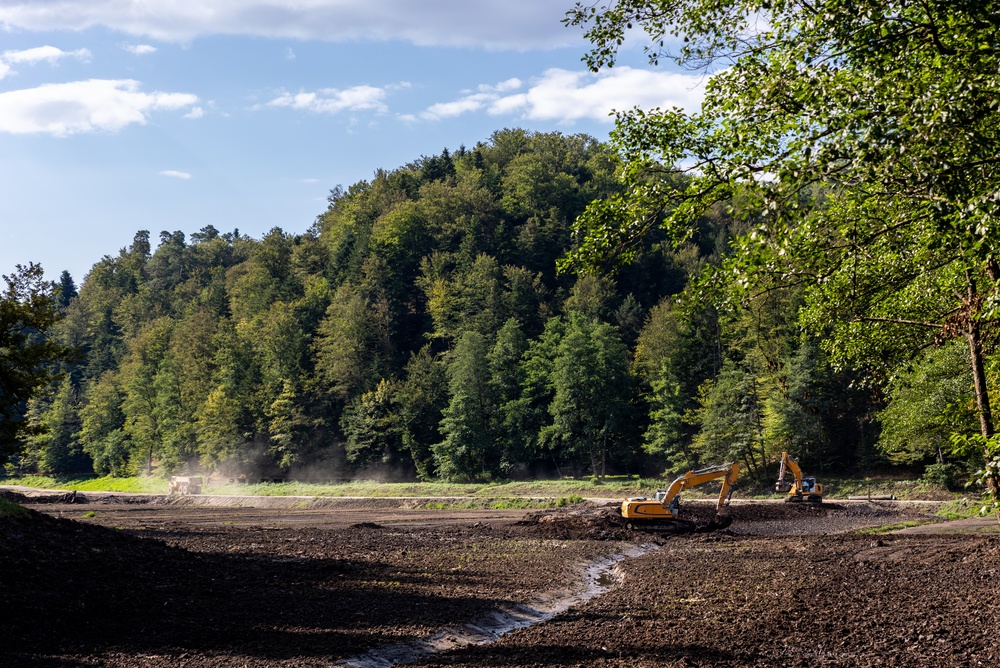 terrain-forestier